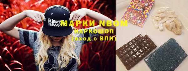 стаф Михайлов