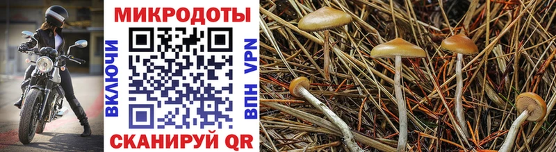 Купить закладки  Черепаново  Псилоцибиновые грибы ЛСД 